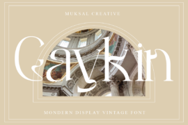 Gaykin Font