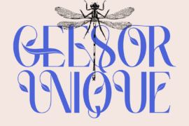 GEESOR UNIQUE DEMO Font
