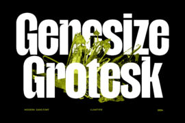 Genesize Grotesk Demo Font