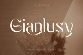 Gianlusy Font