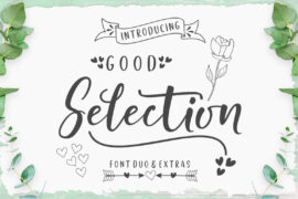 Good Selection Script Font