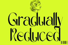 Gradually Reduced Demo Font