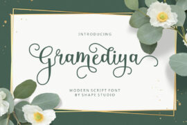Gramediya Script Font