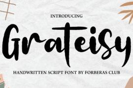 Grateisy Demo Font