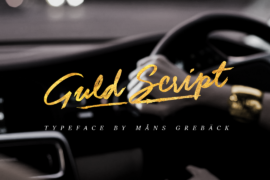 Guld Script PERSONAL USE ONLY Font