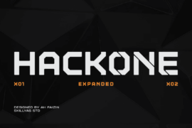Hackone X01 Demo Font