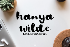 Hanya Willde Demo Font