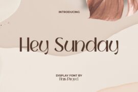 HeySundayDemo Font