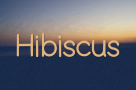 Hibiscus Font