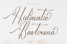 Hidasatie Bastirona DEMO VERSIO Font Family