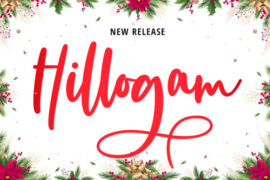Hillogam Personal Use Only Font