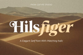 Hilsfiger Font Family