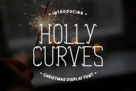 Holly Curves Font
