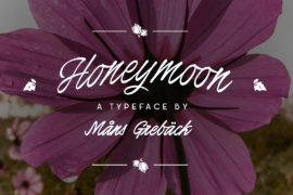 Honeymoon PERSONAL USE Font Family