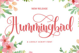 Hummingbird Personal Use Only Font