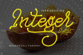 Integer Font Family