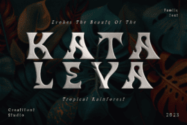 Kataleya Demo Font Family