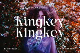 Kingkey Demo Font Family