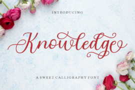 Knowledge Font