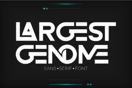 LARGEST GENOME DEMO Font