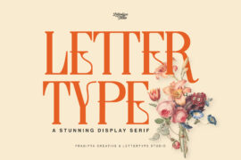 Lettertype DEMO Font