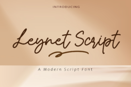 Leynet Script Font