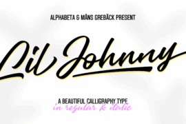 Lil Johnny PERSONAL USE ONLY Font