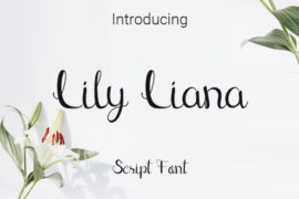 Lily Liana Font