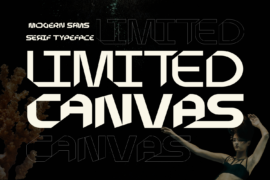 LIMITED CANVAS DEMO Font