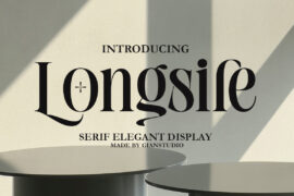 Longsile Font