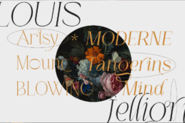 LOUIS felligri Font