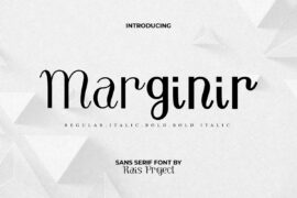 Marginir Demo Font Family