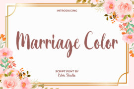 Marriage Color Demo Font
