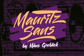 Mauritz Sans PERSONAL USE Font Family