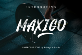 MAXIGO Font