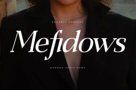 Mefidows DEMO VERSION Font Family