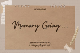 Memory Going Demo Font