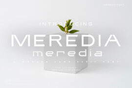Meredia Personal Use Font
