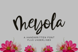 Meyola Font Family