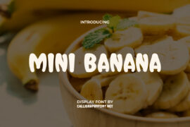 MiniBananaDemo Font