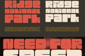 Mirage Bold Free Font