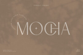 MochaDemo Font