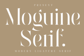 Moguine Serif PERSONAL USE Font Family