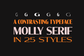 Molly Serif E PERSONAL Font Family