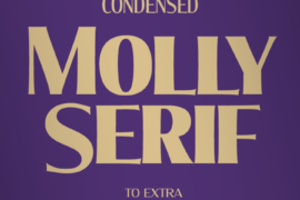 Molly Serif N PERSONAL Font Family