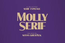Molly Serif XE PERSONAL Font Family