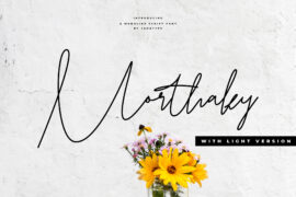 Morthaky Font Family