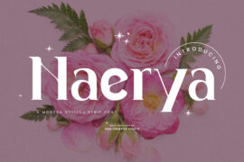 Naerya Personal Use Font