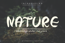 Nature Truth Demo Font