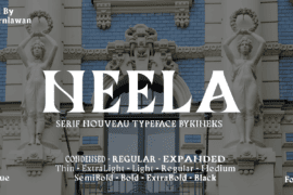 Neela Demo Font